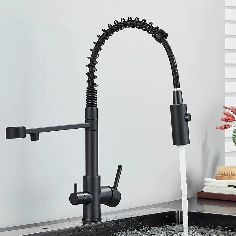 Black Filtered Kitchen Water Filter Kitchen Dual Spout Filter Faucet