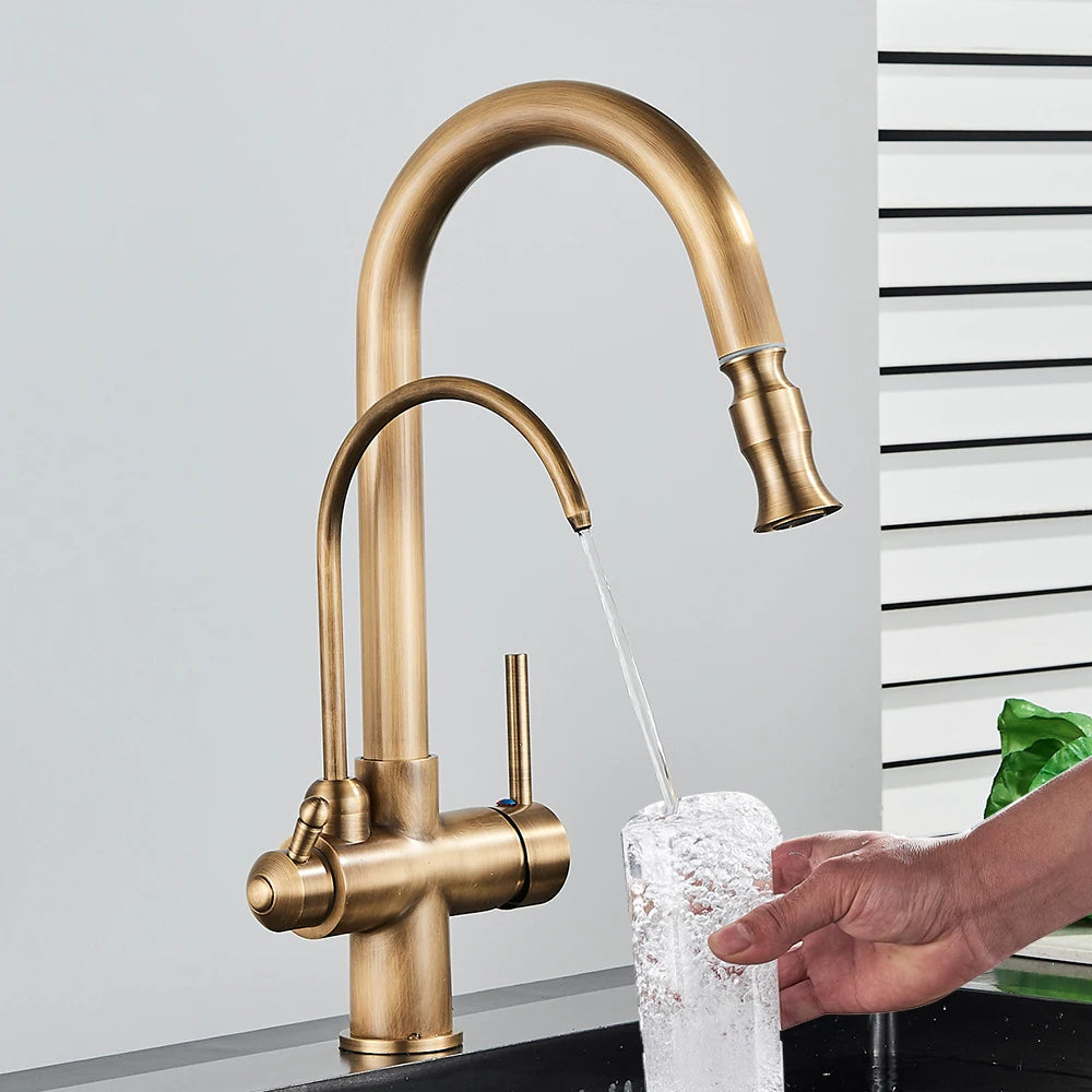 Kitchen Faucet 2 in 1 Antique Brass Pull Out Nozzle Kitchen Tap