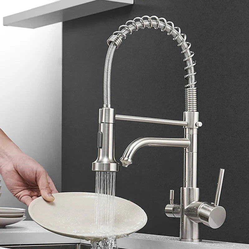 Kitchen Filtered Faucet Water Tap Purifier Faucet Dual Sprayer Tap