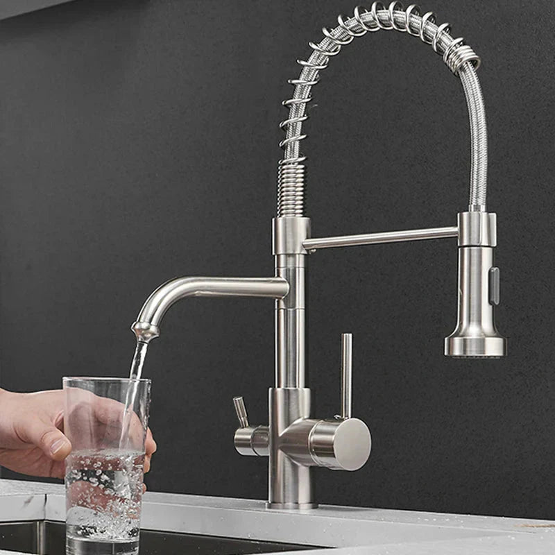 Kitchen Filtered Faucet Water Tap Purifier Faucet Dual Sprayer Tap
