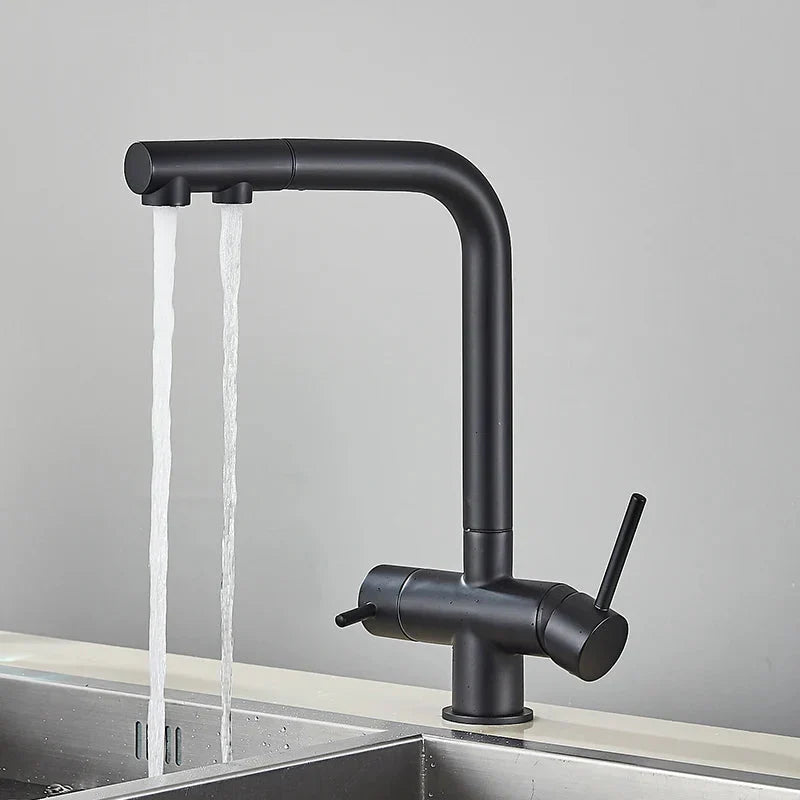 Kitchen Pull Out Spray 360 Rotation Water Filter Tap Dual Sprayer Tap