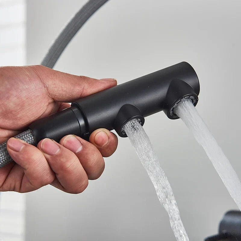 Kitchen Pull Out Spray 360 Rotation Water Filter Tap Dual Sprayer Tap