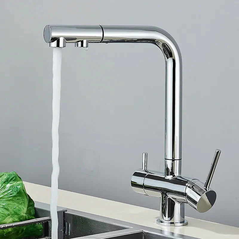 Kitchen Pull Out Spray 360 Rotation Water Filter Tap Dual Sprayer Tap