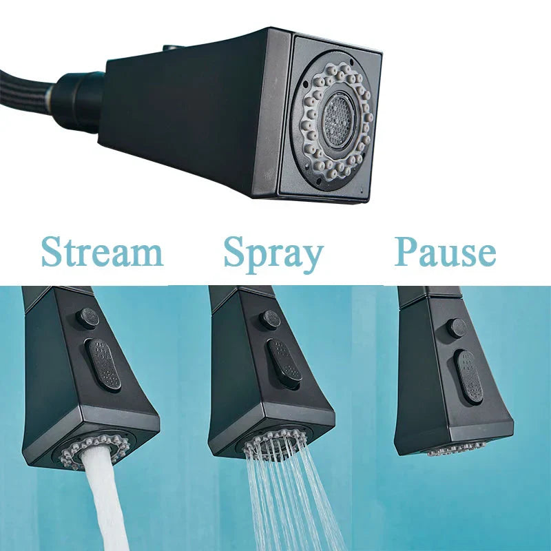 Pull Out Sprayer Sink Faucet Two Spout Double Handle Kitchen Tap