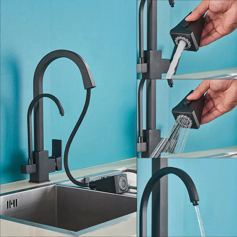 Pull Out Sprayer Sink Faucet Two Spout Double Handle Kitchen Tap