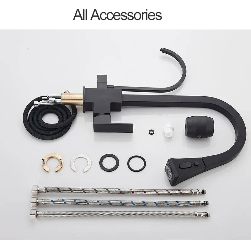 Pull Out Sprayer Sink Faucet Two Spout Double Handle Kitchen Tap