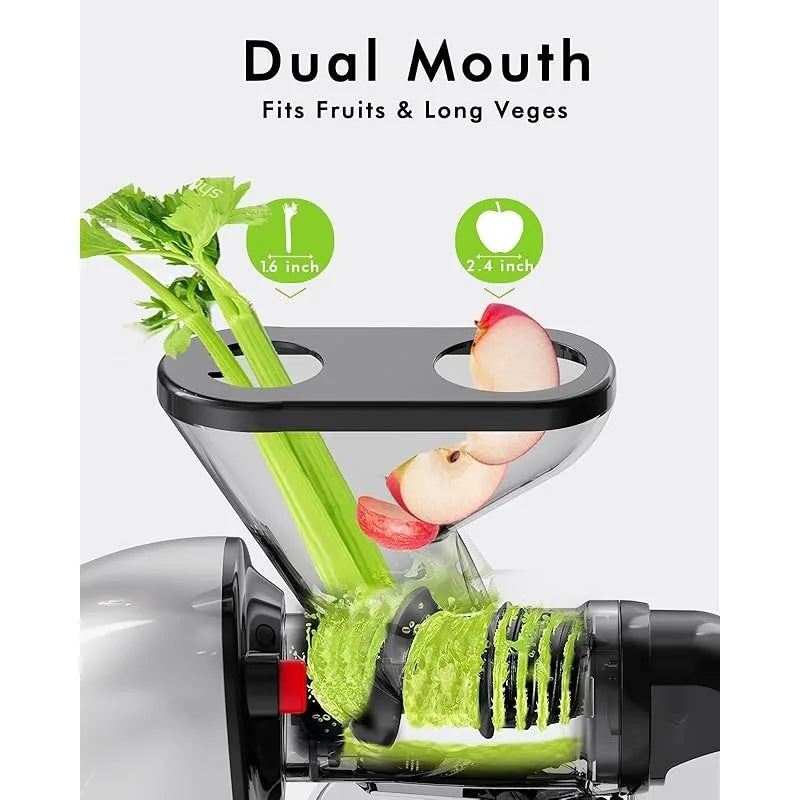 Slow Masticating Cold Press Juicer Machine Juice Maker with Dual Mouth
