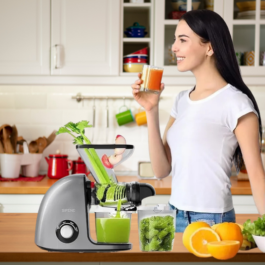 Slow Masticating Cold Press Juicer Machine Juice Maker with Dual Mouth