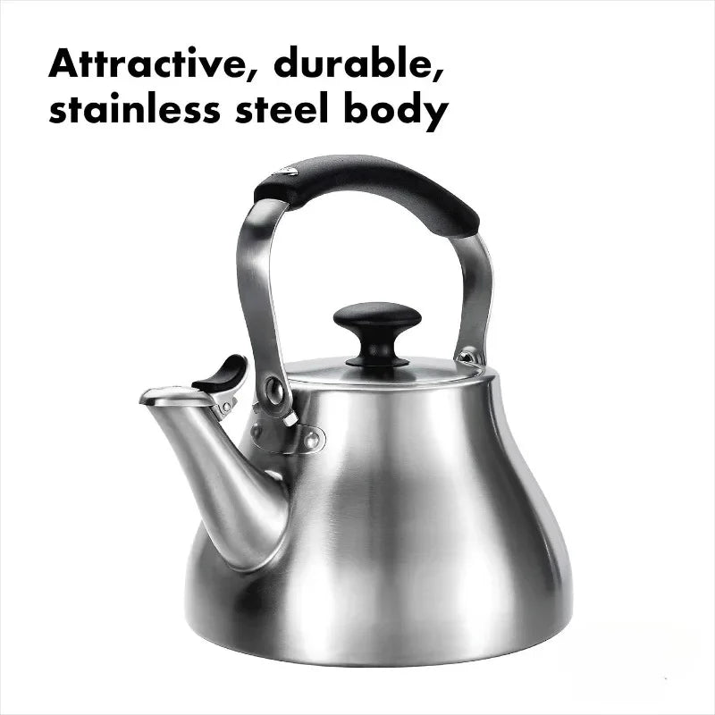 Stainless Steel Heat-Resistant Tea Kettle with Silicone Touchpoints