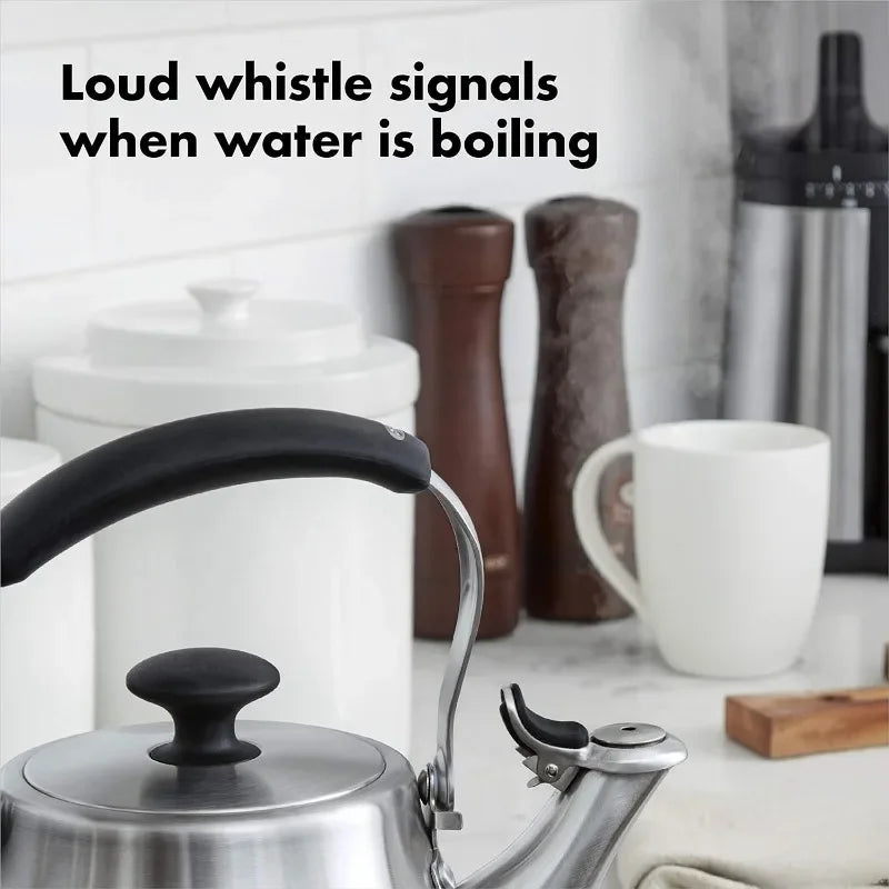 Stainless Steel Heat-Resistant Tea Kettle with Silicone Touchpoints