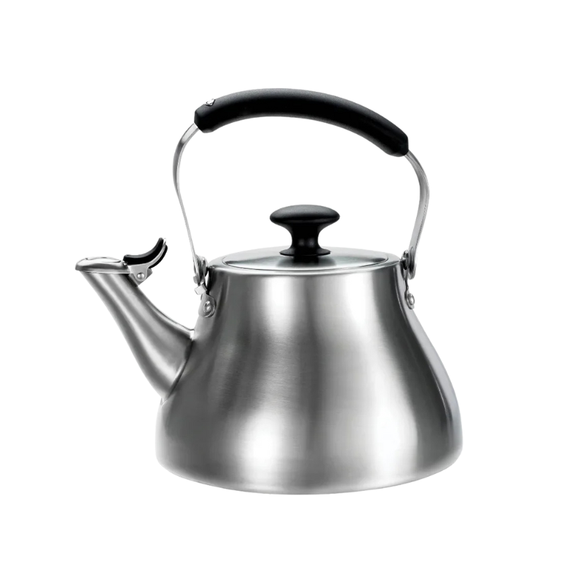 Stainless Steel Heat-Resistant Tea Kettle with Silicone Touchpoints