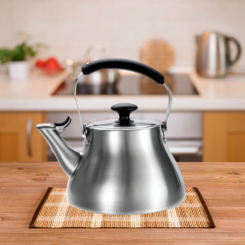 Stainless Steel Heat-Resistant Tea Kettle with Silicone Touchpoints