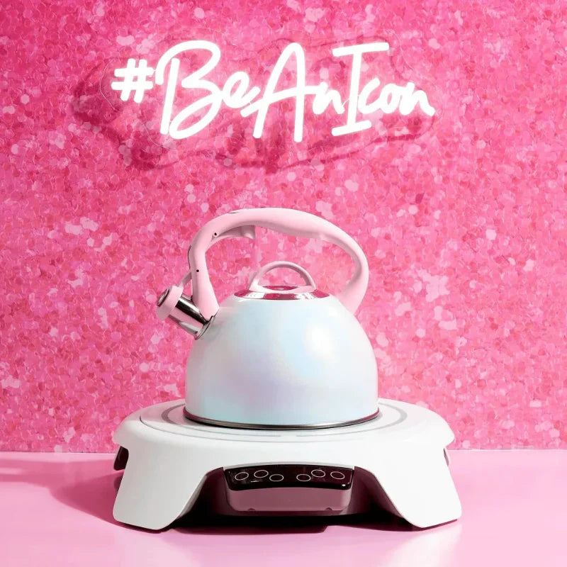 Stainless Steel Whistling Spout Tea Kettle Kitchen Stovetop Kettle