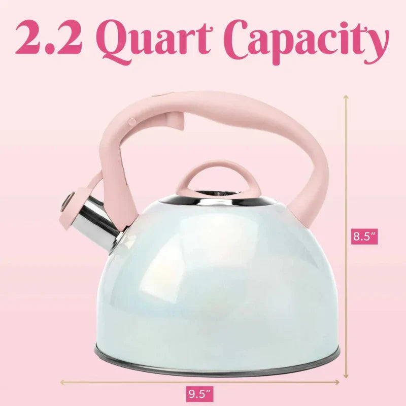 Stainless Steel Whistling Spout Tea Kettle Kitchen Stovetop Kettle
